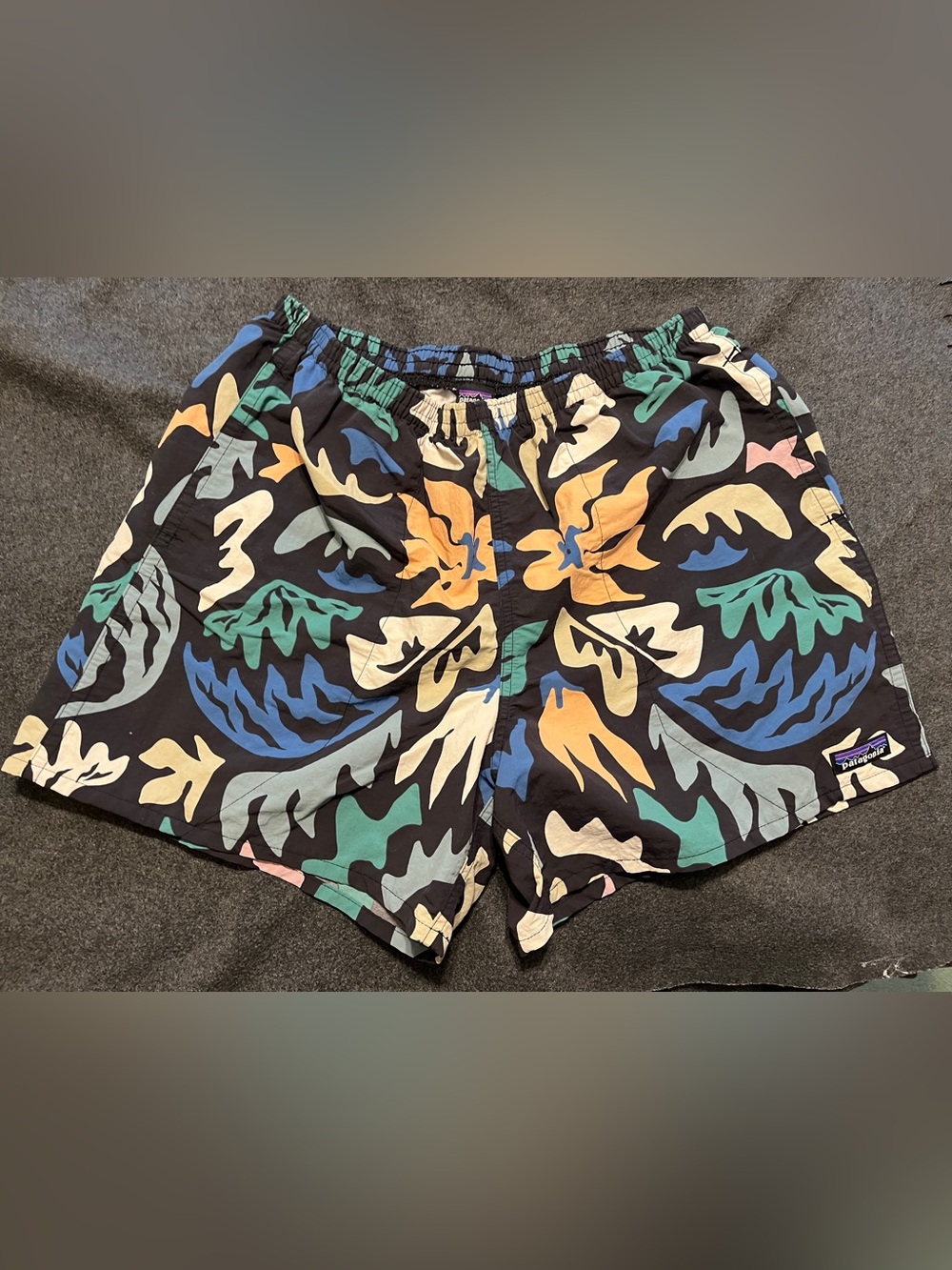 Patagonia Baggies Men’s 5” Inseam Size L